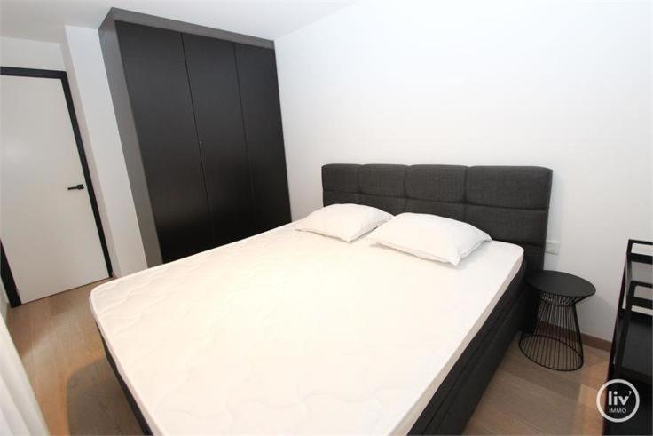 Appartement Spacieux A Knokke Buitenkant foto